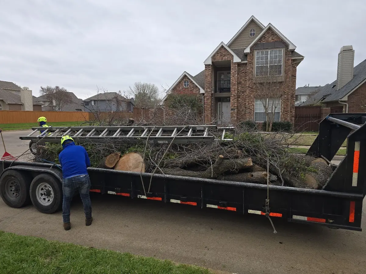 Expert Lot Clearing with proper safety equipment in Catharine